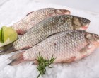 Don’t Throw Those Unused Fish Scales Away Some Clever Scientists Have Found A Clever Use For Them