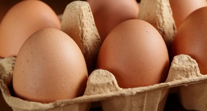 The Best Way To Store Eggs In The Refrigerator
