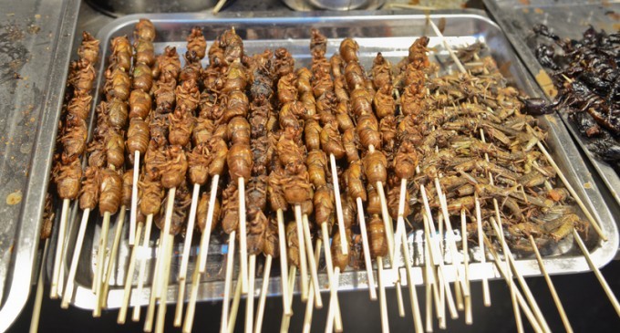 Some People Are Going To Extreme Measures To Find The Newest Food Trend & We’re Totally Grossed Out
