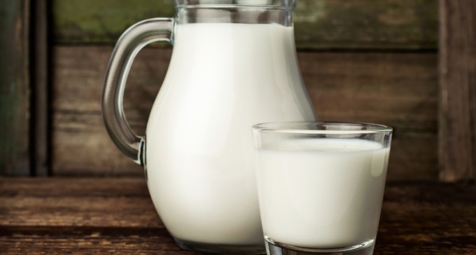 Out Of The Hundreds Of Choices For Milk; Which One Is The Healthiest To Drink? We Have The Answer!