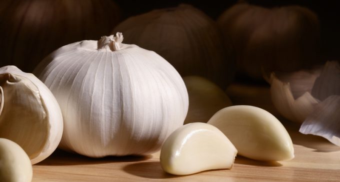 We Couldn’t Believe This But… There Is An Actual Guideline On How To Cook & Prepare Garlic: We’re Shocked!