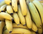 They Bought Some Bananas From The Store, Took Them Home & Found Thousands Of Poisonous Spiders Living Inside