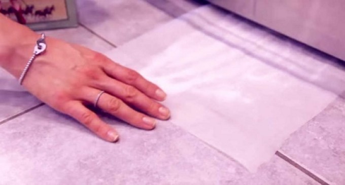 She Put Borax On A Sheet Of Wax Paper & Slid It Under The Fridge