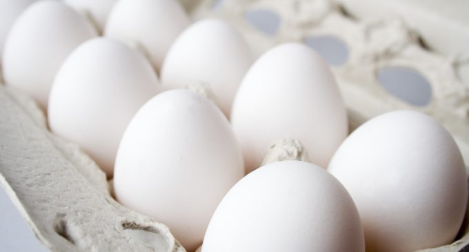 Don’t Toss Those Eggs Out Yet, What We Discovered About The Expiration Dates Left Us Stunned!