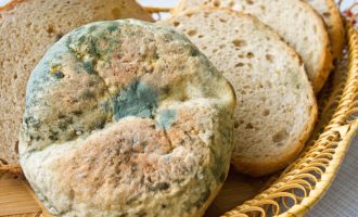 When It Is Safe To Cult The Mold Off Of Food & When It Should Be Tossed