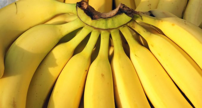 How To Make A Green Banana Ripe Under 30 Seconds – This Hack Is Incredible