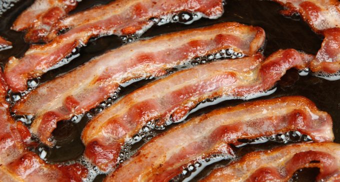 Stop Suffering With Bacon Grease Going Everywhere, Try This Incredible Cooking Hack To Stop It For Good!