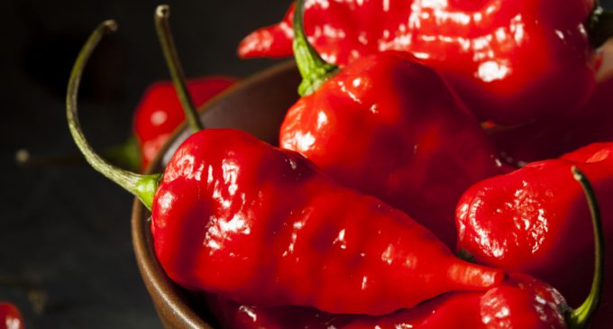 Love Spicy Food But Hate The Burn? Scientist Found A Way To Block Out The Pain Associated With Eating Peppers