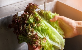 We Discovered The Quickest Way To Dry Leafy Vegetables Without Waiting Forever Or Using Paper Towels