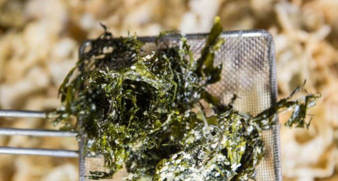 There Is A Type Of Seaweed That Tastes Exactly Like Bacon & We Can’t Get Enough Of It