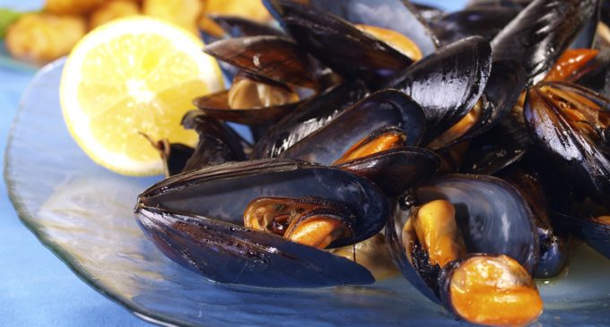 These Steamed Mussels Are Fantastic and So Easy