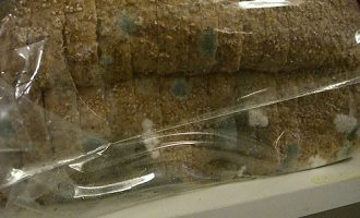 Is It Okay To Eat Moldy Bread, The Answer May Surprise Everyone