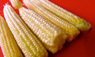 The Truth About Baby Corn and Where It Comes From