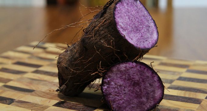 Ube Is The Latest Trending Food, Here Are Facts Everyone Needs To Know About This Popular Food!