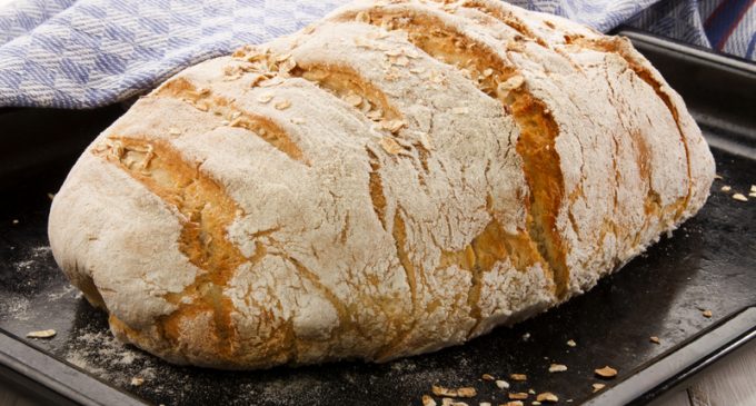 Warm Out Of The Oven This No Knead Country Loaf Will Become Your Favorite Go To!