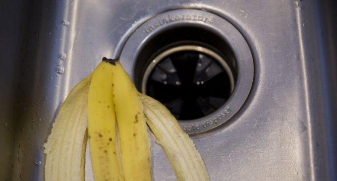 Things To Never Put Down Your Garbage Disposal