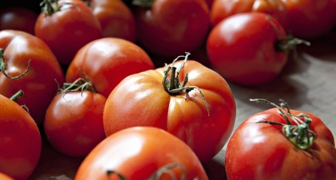 Stop Ruining Tomatoes With This Age Old Trick