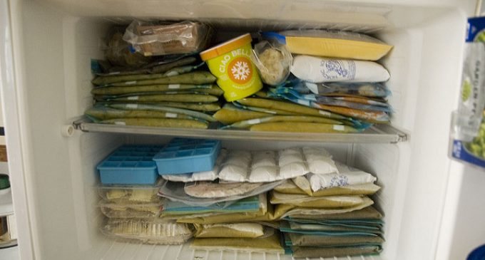 Kitchen Survival: Freezer Hacks That Will Save Everyone Time