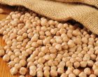 It Turns Out Those Dried Beans Should Not Be Kept Forever And The Reason Why Is Suprising!