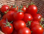 Cutting Down on Food Waste- Saving Cut Tomatoes the Proper Way