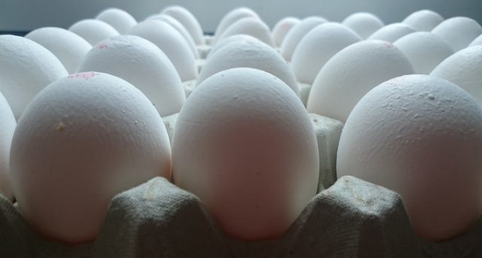 Eggs and Expiration Dates: How Long is Too Long