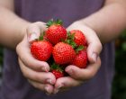 Add Flavor to Bland Strawberries With These 2 Powerful Techniques