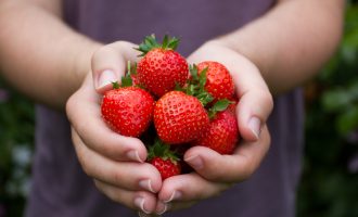 Add Flavor to Bland Strawberries With These 2 Powerful Techniques
