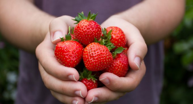 Add Flavor to Bland Strawberries With These 2 Powerful Techniques