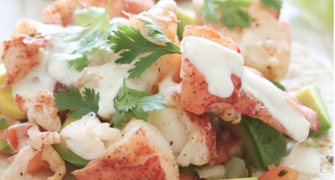 Try These Amazing Lobster Tacos