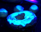 Get the Party Started With These Glow-In-The-Dark Donuts