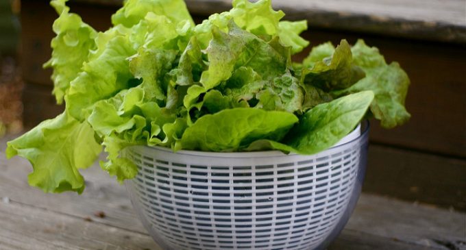 Save Time In The Kitchen: The Fastest Methods For Drying Lettuce Without Wasting Paper Towels