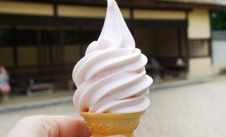 The Shocking Truth About What’s Really Inside Soft Serve Ice Cream