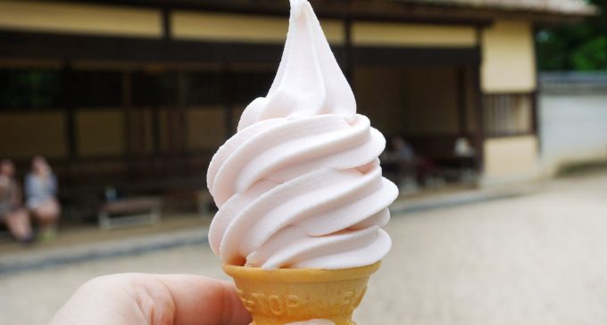 The Shocking Truth About What’s Really Inside Soft Serve Ice Cream