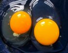 The Fascinating Thing Inside Raw Eggs Most People Have Never Noticed