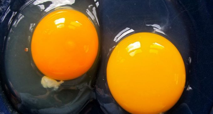 The Fascinating Thing Inside Raw Eggs Most People Have Never Noticed