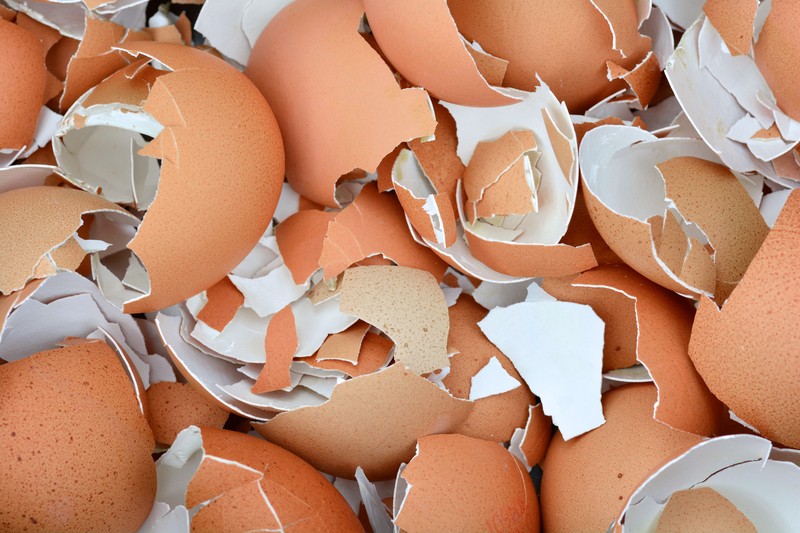 Why You Should Be Eating Your Eggshells Instead Of Throwing Them In The